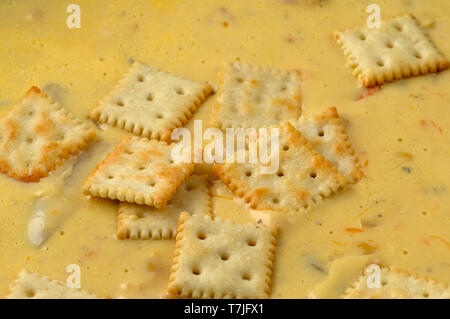 Chicken corn chowder with cheese and crackers illuminated with natural lighting. Stock Photo