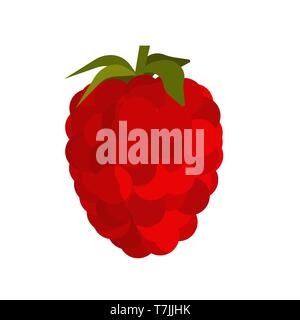 Raspberry fruit food vector icon isolated. Red berry sweet nature. Organic plant ingredient symbol. Garden farm flat sign Stock Vector