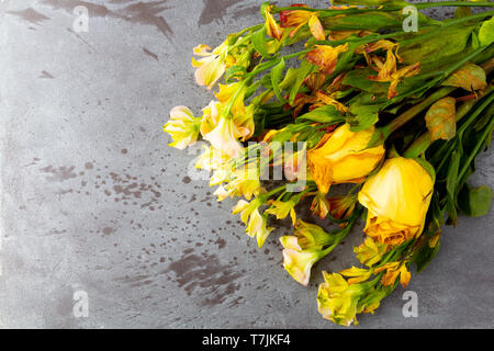 Overhead view of a bouquet of wilting flowers with yellow roses on a gray background illuminated with natural lighting. Stock Photo