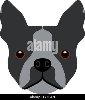 Boston Terrier Vector Stock Vector