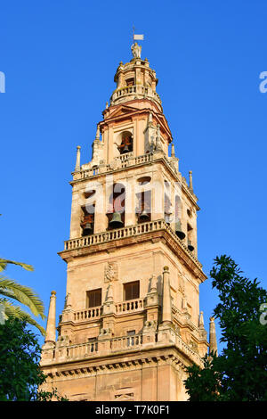 Bell tower from Court of Oranges, Mosque–Cathedral of Córdoba, Mezquita-catedral de Córdoba, Cordoba, Spain Stock Photo