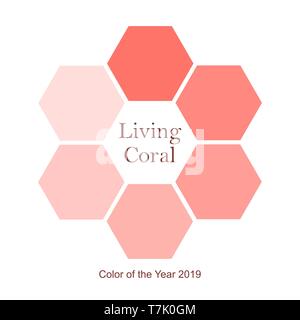 Honeycomb icon isolated. Vector illustration. Flat Honeycomb icon in trendy pink color Stock Vector