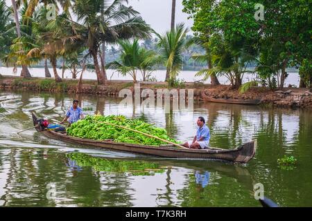 India, state of Kerala, Kumarakom, village set in the backdrop of the Vembanad Lake, banana transport on the backwaters (lagoons and channels networks) Stock Photo