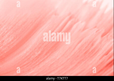 Trendy living coral colored floral background. Seamless floral texture with color gradient and copyspace. Stock Photo