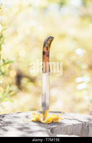 Knife stabbed in the yellow leaves and old stump in the autumn forest Stock Photo