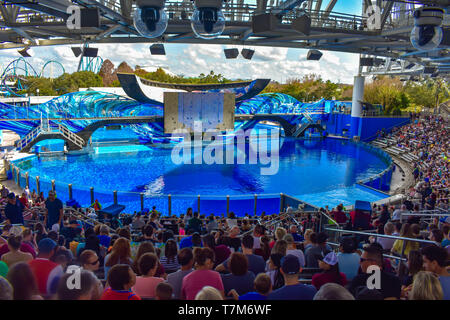 Orlando, Florida, January 01, 2019 . People waiting for the start of One Ocean Show with pretty killer whales at Seaworld (1) Stock Photo