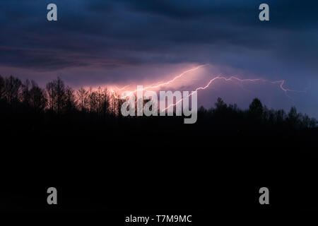 Colourful summer thunder storm over the forest at night. Spectacular lighting strikes in the sky Stock Photo