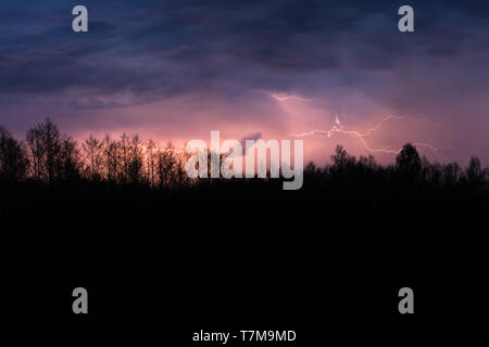 Colourful summer thunder storm over the forest at night. Spectacular lighting strikes in the sky Stock Photo
