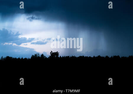 Heavy shower rain over the forest at night. Rain pouring from dark clouds in the sky at dusk, thunder storm is coming Stock Photo