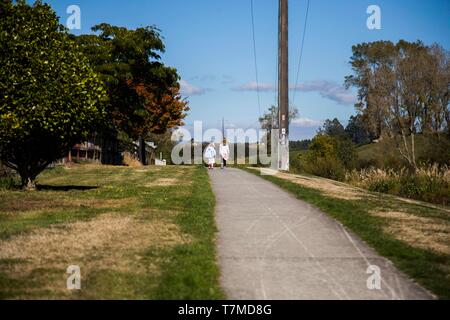 Two school age sisters walking together along a path in a beautiful park in the autumn with blue sky and white clouds.  Taken at lake Moana nui Stock Photo