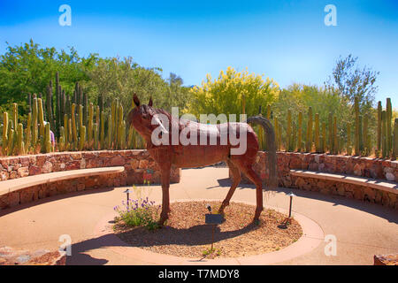 The metal sculpture of a horse in the Cactus Courtyard at Tohono Chul Park in Tucson, AZ Stock Photo