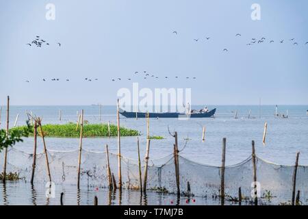 India, state of Kerala, Kumarakom, village set in the backdrop of the Vembanad Lake, fishermen on the lake Stock Photo