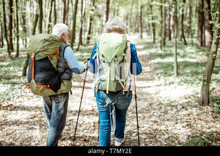Senior couple hiking with backpacks and trekking sticks in the forest, back view. Concept of an active lifestyle on retirement