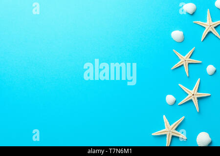 Flat lay composition with starfishes and seashells on color background, space for text Stock Photo