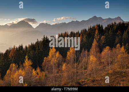 Autumnal mountain landscape with birches, larches and spruces at sunset, in background the Karwendel mountains Stock Photo