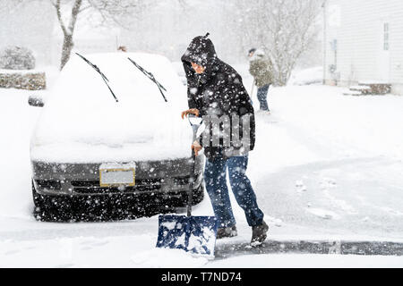 Young man in winter coat cleaning shoveling driveway street from snow in heavy snowing snowstorm with shovel by parked car with wipers Stock Photo
