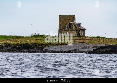 House and late 18th century beacon tower on Brownsman island, an early lighthouse on the Farne Islands, Northumberland, UK. May 2018. Stock Photo