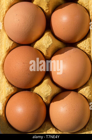 Six eggs in the package top view close-up. Tray with eggs Stock Photo