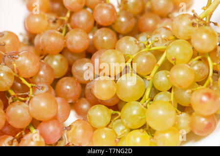 Gewürztraminer type Green grape isolated on white plate. With clipping path. Full depth of field. - Image Stock Photo
