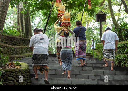 Ubud, Indonesia - April 04, 2019: Balinese parade with women carryingoffering for Hindu God in Ubud Monkey Forest Temple Stock Photo