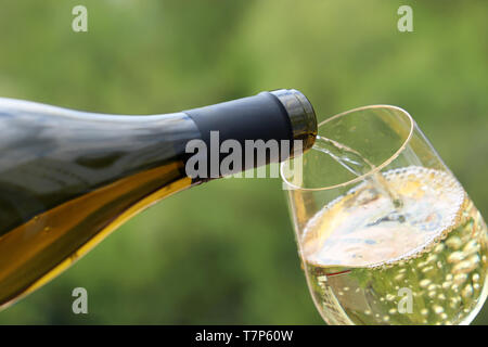 White wine pouring from the bottle into the glass on green nature blurred background. Concept of celebration, party, wine drinking outdoors, champagne Stock Photo