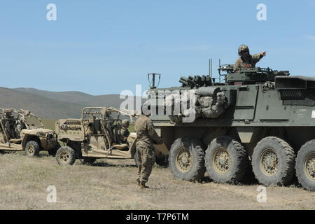 M1135 Nuclear, Biological and Chemical Reconnaissance Vehicle Stock ...