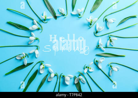 Flat lay composition with snowdrop flowers and inscription hello spring on color background Stock Photo