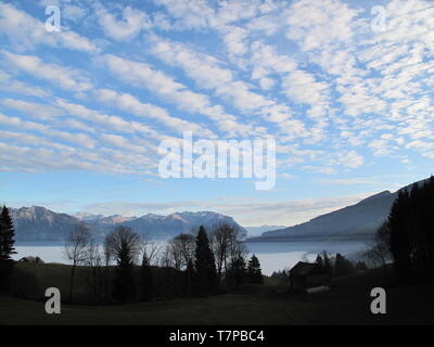 Between the shadows of trees and the Alpine chain, the sea of ​​mist flows under cirrus clouds and sky blue Stock Photo