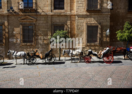 Horses and carriages in the historic centre of Cordoba in Andalusia Stock Photo