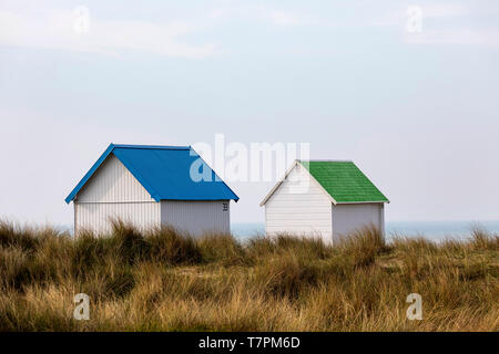 Two white beach Huts with colourful roofs on tall grass at Gouville-sur-Mer, Normandy, France Stock Photo