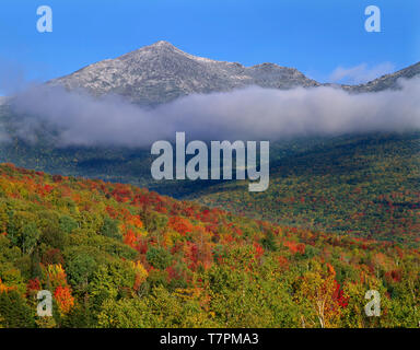 USA, New Hampshire, White Mountain National Forest, Fall colored slopes and Mount Jefferson in the Presidential Range. Stock Photo