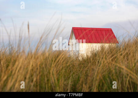 White wooden beach hut with red roof and white shades in tall grass at Gouville-sur-Mer at sunset, Normandy, France Stock Photo