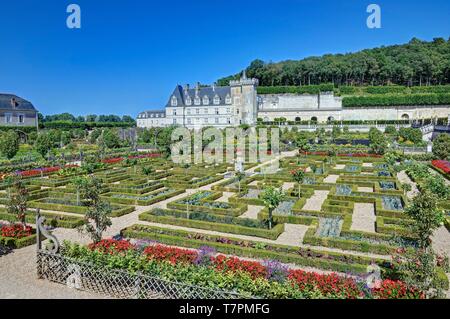 France, Indre et Loire, Loire valley listed as World Heritage by UNESCO, the castle and the gardens of Villandry property of Angélique and Henri Carvallo Stock Photo