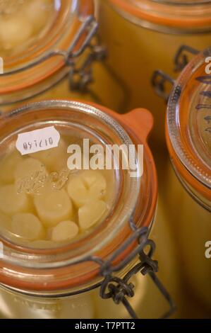 France, Ain, Mionnay, Maison Chapel restaurant, cooking, salsify jars Stock Photo