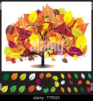 Autumn tree vector illustration Stock Vector