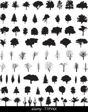 vector silhouettes of the trees Stock Vector