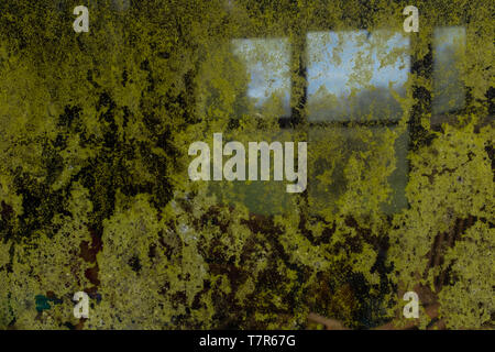 A close up of a grimy window covered in green mold with the light from another window in the background, great for wallpaper Stock Photo