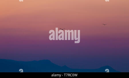 Simple colorful sky with two birds right after sunset Stock Photo