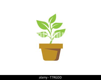 Plant in the Pot with some leaves for logo Stock Vector
