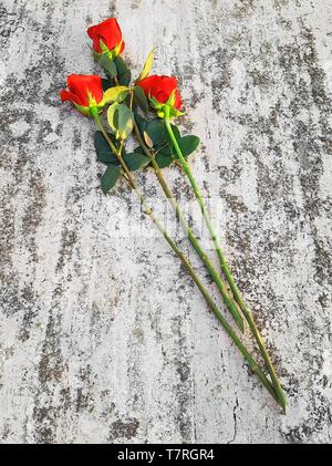 three long red roses in the marble background Stock Photo
