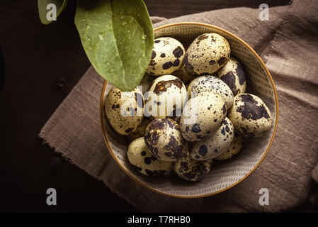 Horizontal photo with top view on ceramic bowl full of quail eggs. Eggs have nice texture with brown spots. Bowl is placed on light cloth and dark woo Stock Photo