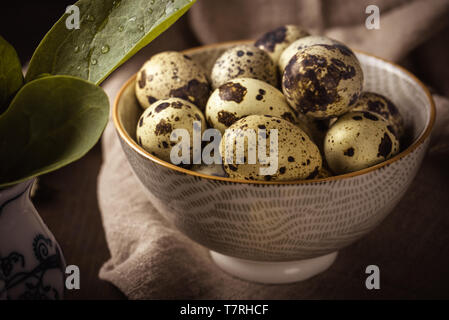 Horizontal photo of ceramic bowl full of quail eggs. Eggs have nice texture with brown spots. Bowl is placed on light cloth and dark wooden board. Stock Photo