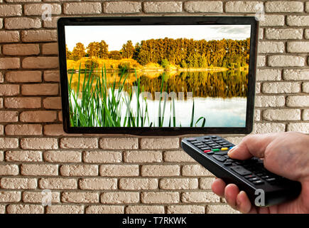TV remote in hand and TV on decorative brick wall in the background Stock Photo