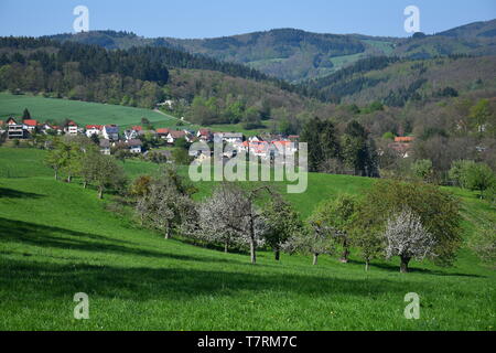 The small town Oberflockenbach in the Odenwald in spring. Some white-flowered trees in front. Weinheim, Baden-Württemberg, Germany. Stock Photo