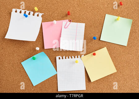 Cork board with pinned colored blank notes Stock Photo
