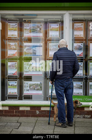 Whitchurch market town in Shropshire, England, near the Welsh border. Man with dog looking in Halls Estate Agents window Stock Photo