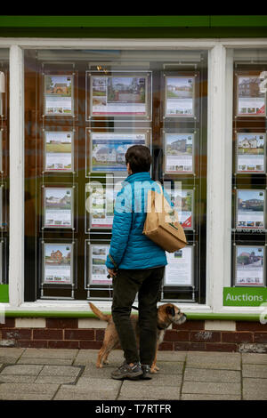 Whitchurch market town in Shropshire, England, near the Welsh border. Lady with dog looking in Halls Estate Agents window Stock Photo