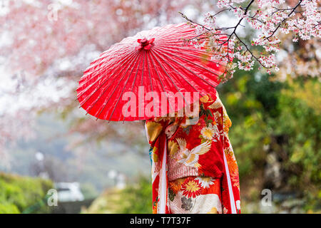 Kyoto, Japan Cherry blossom sakura trees in spring with blooming flowers in garden park by river and woman in red kimono and umbrella Stock Photo