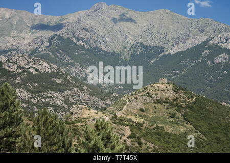 Ruins of a fortress in the Corsican mountains. Ruinen einer Festung in den korsischen Bergen. Ruiny twierdzy w górach Korsyki. Stock Photo