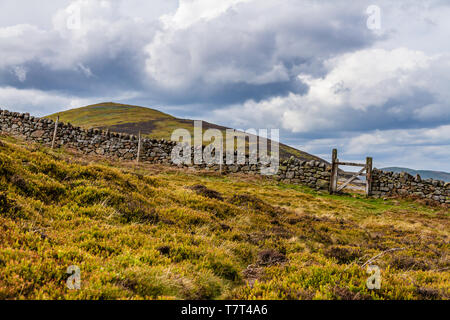 Yeavering Bell from Akeld Hill in the Cheviot Hills, Northumberland National Park, UK. May 2019. Stock Photo